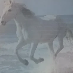 Tradera 3 Blå Brevpapper Häst Galopperande på Strand Linjerade Papper A4 Unika Fina> Kuverter & Brevpapir