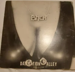 Tradera Bitch - Damnation Alley (endast signerat omslag)| Pladeomslag