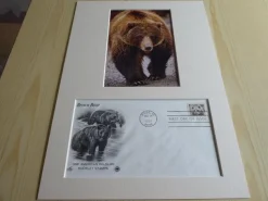 Tradera Brunbjörn fotografi & förstadagsbrev passepartout storlek A4| Nordamerika