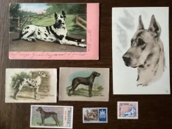 Tradera GRAND DANOIS HUND VYKORT FINA ENGELSKA SAMLARBILDER SIDEN FRIMÄRKEN GAMMALT| Generelle Motiver