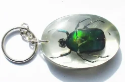 Tradera Häftig skalbagge nyckelring - PRESENT!! -| Tilbehør