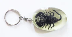 Tradera Häftig skorpion nyckelring PRESENT!! -| Tilbehør