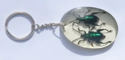 Tradera Häftiga skalbaggar nyckelring - PRESENT!! -| Tilbehør
