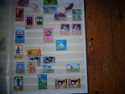 Tradera jamaica 2| Sydamerika & Caribien