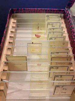 Tradera Kent Tokyo P-4 Glass Microscope Slides 12 pcs. animal, insekt, plant| Andet Optisk Udstyr