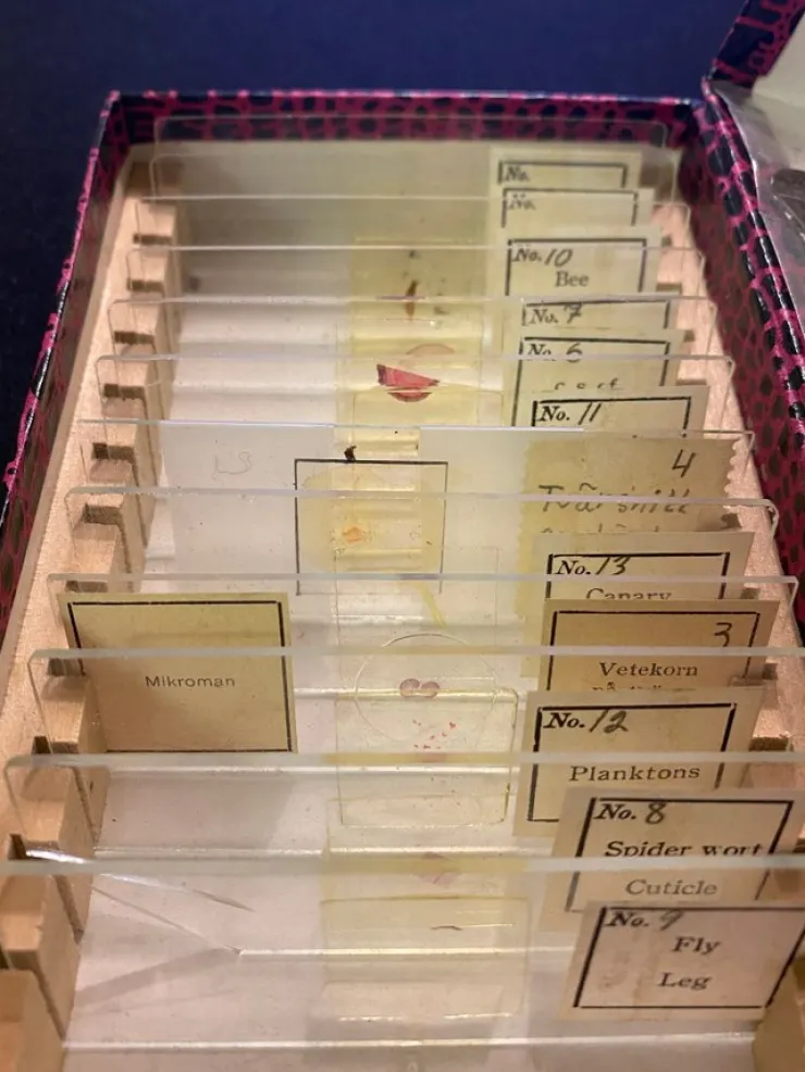 Tradera Kent Tokyo P-4 Glass Microscope Slides 12 pcs. animal, insekt, plant| Andet Optisk Udstyr