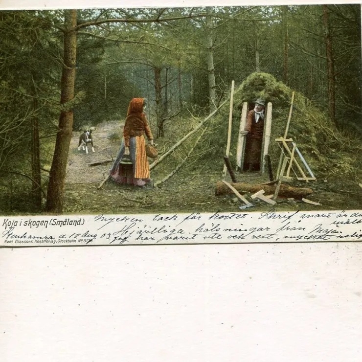 Tradera Koja i skogen(Småland), beg 1903| Svenske Landskaber