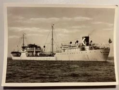 Tradera M/T | Generelle Motiver