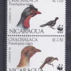 Tradera Nicaragua 1994 Fåglar 4v WWF| Sydamerika & Caribien