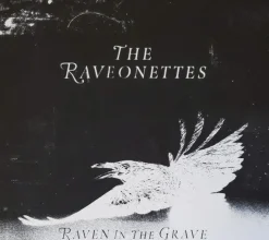 Tradera Raveonettes | Cd