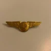 Tradera SAS guldfärgade vingar> Fly