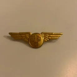 Tradera SAS guldfärgade vingar> Fly