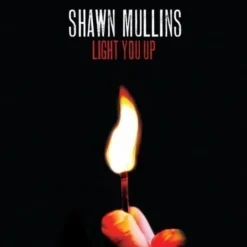 Tradera Shawn Mullins | Cd