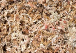 Tradera Sphagnummossa 30g/3l| Andet Til Haven