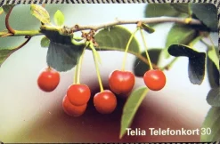 Tradera Telia Telefonkort 30 markeringar Retro Foto Björn Forsberg> Telefonkort