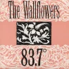 Tradera The Wallflowers - 83.7°| Vinyl