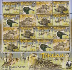 Tradera Tokelau 2007 Fåglar 4x4v i helark WWF| Oceanien