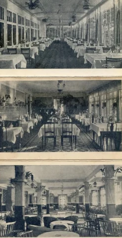 Tradera Tynäs 5kort från nöjespalatset trol. 1920tal därav 3 interiörer från salongerna| Svenske Landskaber