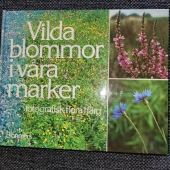 Hot Vilda blommor i våra marker - Fotografisk flora färg Botanik