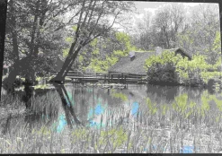 Tradera Vira Bruk - Bruksdammen (Österåker) Förlag Stiftelsen Vira Bruk| Svenske Landskaber