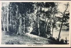 Tradera Vykort Källvik Strandpromenad| Svenske Landskaber